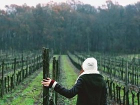 有关三个 Python 虚拟环境管理工具的探讨