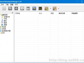 最佳下载利器IDM v6.30 Build 10 绿色特别版