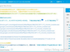 Google Chrome 更新器 v2.4.5.0 绿色版