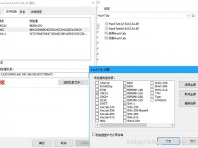 HashTab v6.0.0.34 简体中文绿色修正版