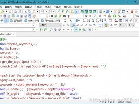 EmEditor 17.7.0 官方正式版及永久激活密钥