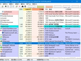 Process Explorer v16.21 简体中文汉化版
