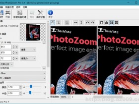 PhotoZoom Pro v7.1.0 破解专业版单文件