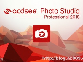 ACDSee Professional 11.2.888 汉化特别版