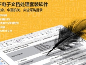 福昕高级PDF编辑器 v9.1.0 企业版及破解补丁