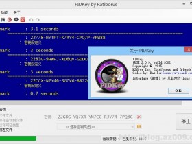 密钥批量检测工具 PIDKey v2.1.2.1017