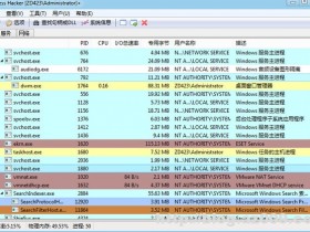 Process Hacker v2.39 绿色汉化版本