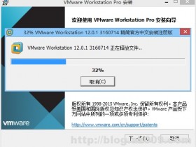 VMware Workstation v12.5.9 精简特别版