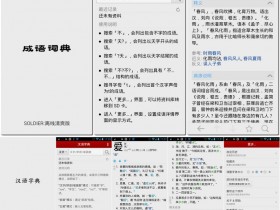 汉语字典/成语词典 v3.03 去广告版
