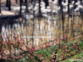 Mcool v3360.0506 极简唯美本地音乐播放器