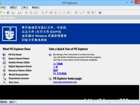 PE Explorer v1.99 R6 汉化版增强版